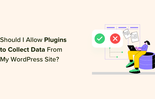 Should I Give Permission for WordPress Plugins to Collect Data?