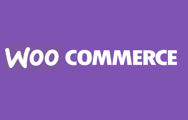 WooCommerce 9.3.3: Dot Release