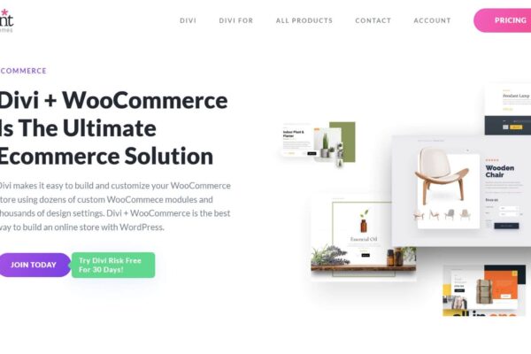 10 Best WooCommerce WordPress Themes in 2023 (Reviewed)