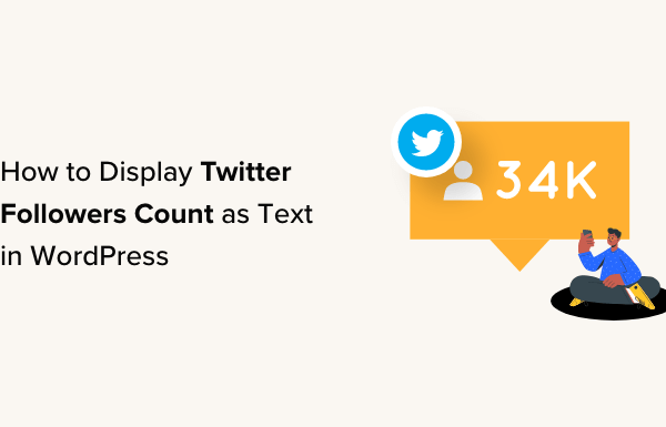 How to Display Twitter Followers Count as Text in WordPress