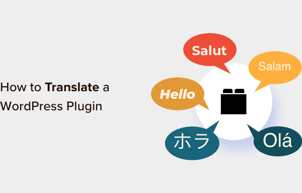 How to Translate a WordPress Plugin in Your Language