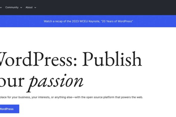 How to Make a WordPress Website in 2023 (Beginners Guide)