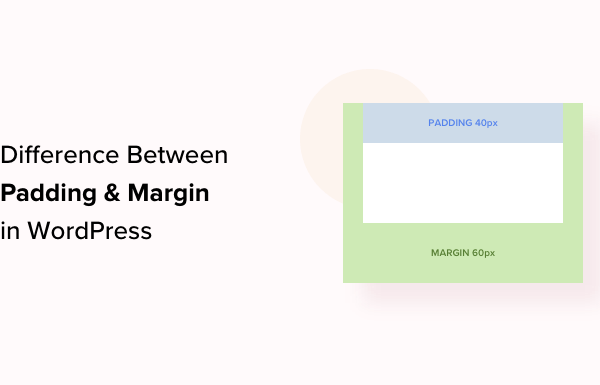 What’s the Difference Between Padding and Margin in WordPress?