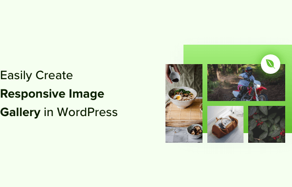 How to Easily Create Responsive WordPress Image Galleries with Envira