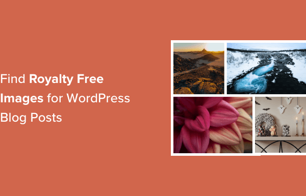 How to Find Royalty Free Images for Your WordPress Blog Posts