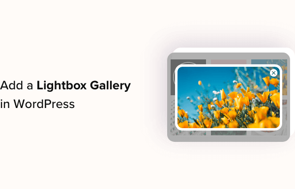 How to Add a Gallery in WordPress with a Lightbox Effect