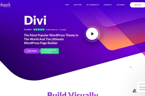 Divi vs Oxygen: Which One Should You Choose? (2024)