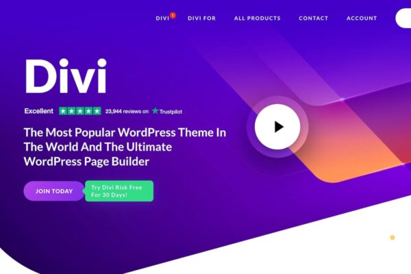 Divi vs Betheme: Which WordPress Theme to Use In 2024?