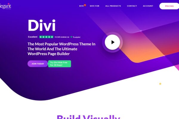 Divi vs Brizy: Which Drag & Drop Builder is Best? (2024)