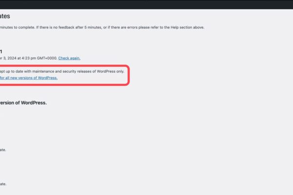 How to Enable Auto Updates on Your WordPress Website