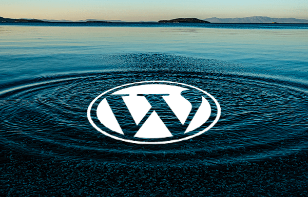 Contributing to the WordPress Ecosystem (My Thoughts)