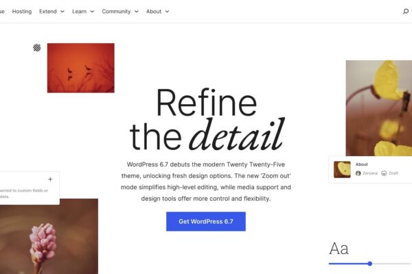 WordPress Twenty Twenty-Five Review: 6.7 Features Worth It?